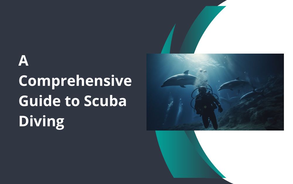 A Comprehensive Guide to Scuba Diving